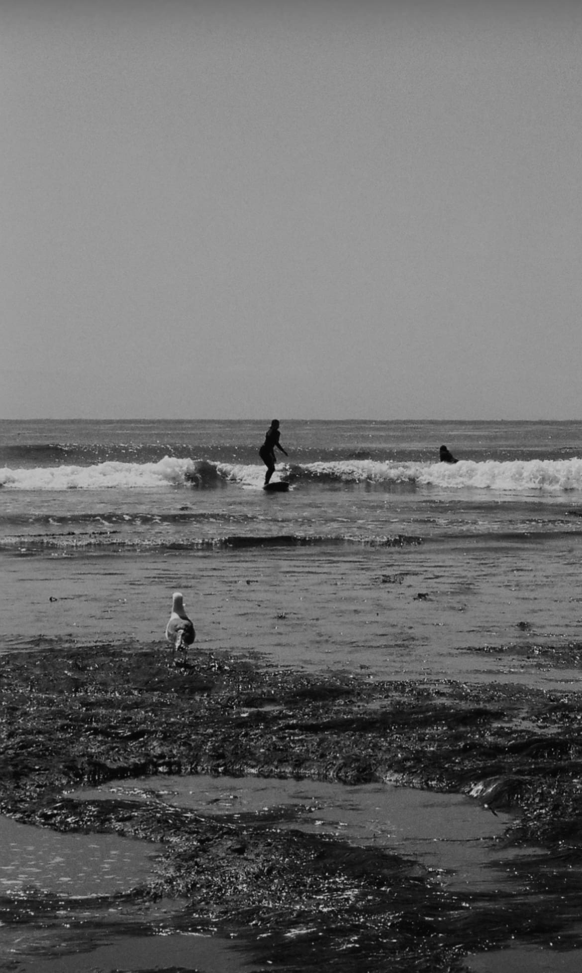 A girl surfing on film in black and white